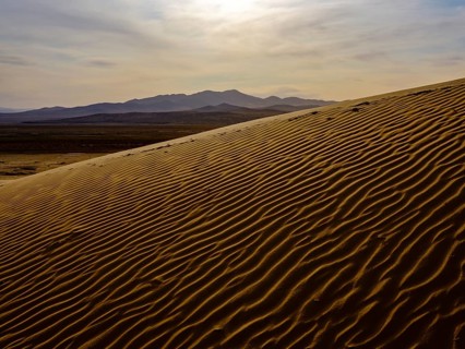 Sand dunes of Elsen Tasarkhai