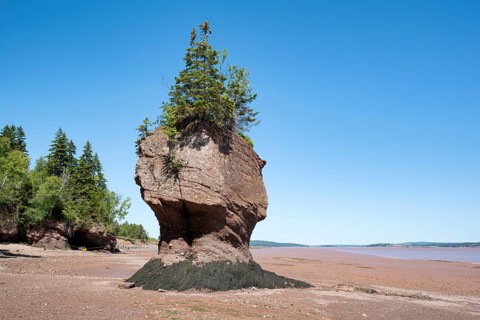 Hopewell Rocks also Flowerpot Rocks