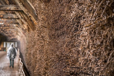 Brushwood bundles in the graduation house