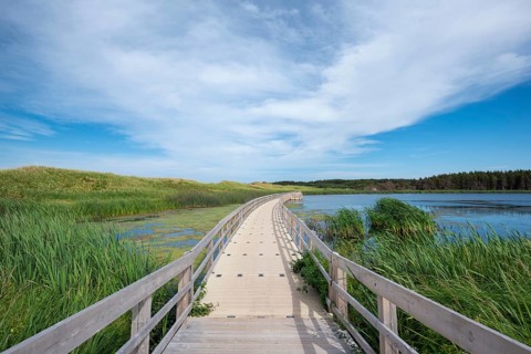 Floating jetty at Lake of shining waters