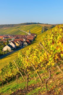 Escherndorf near Volkach