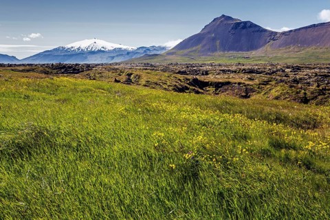 Volcanic landscape