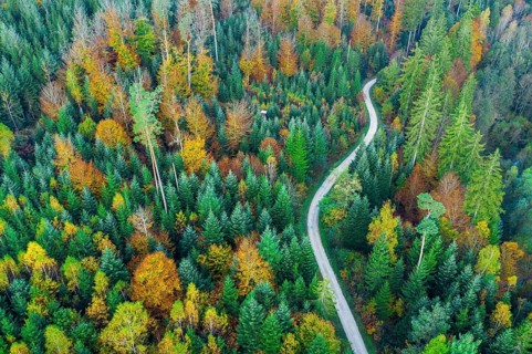 Drone shot