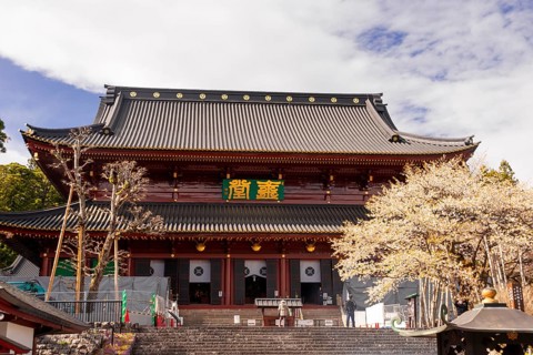 Nikkozan Rinnoji Temple