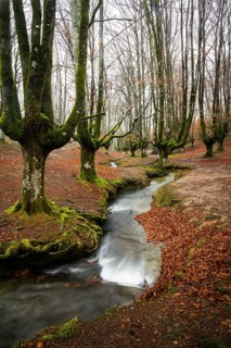 Gorbea Natural Park