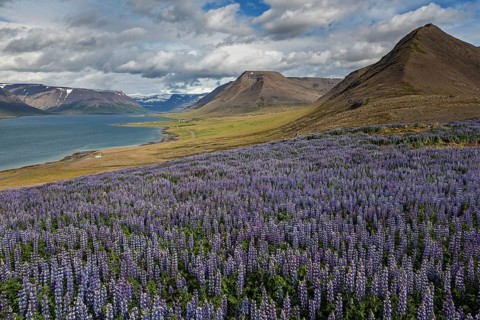 View of fjord landscape