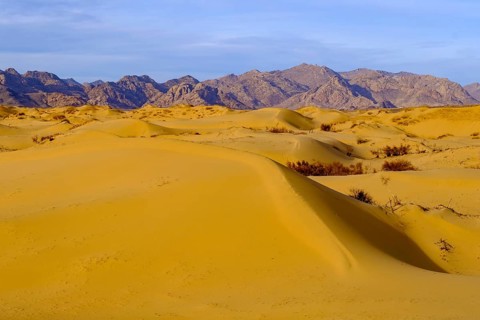 Sand dunes of Elsen Tasarkhai