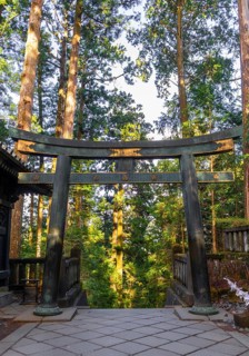 Torii gate at Tosho-gu Shrine from the 17th century