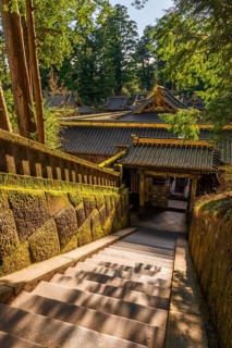 Tosho-gu Shrine from the 17th century