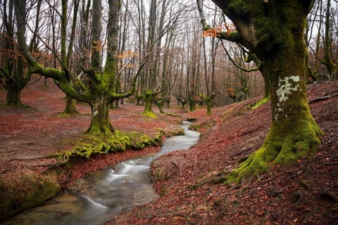 Gorbea Natural Park