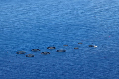 Fishing boat controls free-water nets in the sea