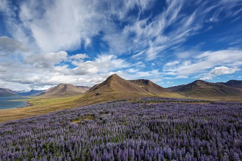 View on fjord landscape