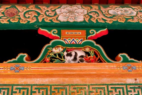 Nemuri-neko