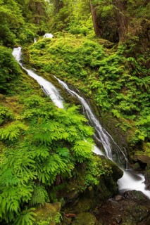 Waterfall in Olympic National Park