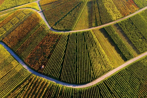 Drone shot