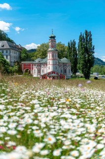 Flower meadow in front of the monastery St. Karl