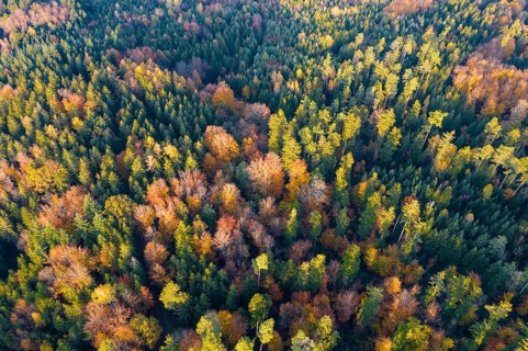 Drone shot