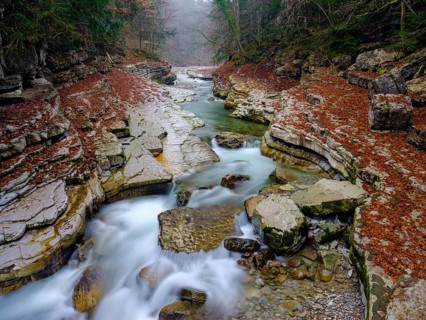 Taugl mountain creek