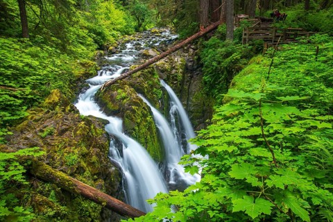 Sol Duc Falls