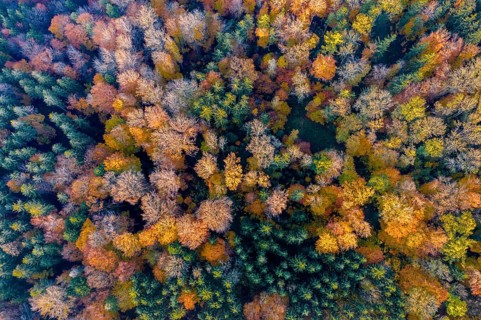 Drone shot