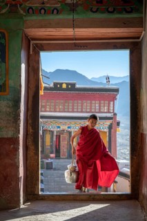 Young monk bringing butter milk tea to the prayer hall