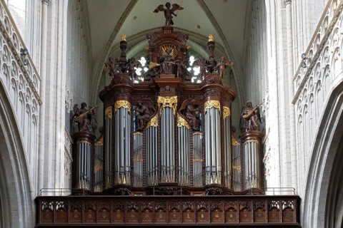Schyven organ