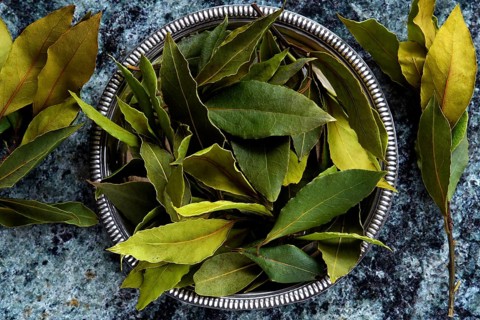 Bay leaves