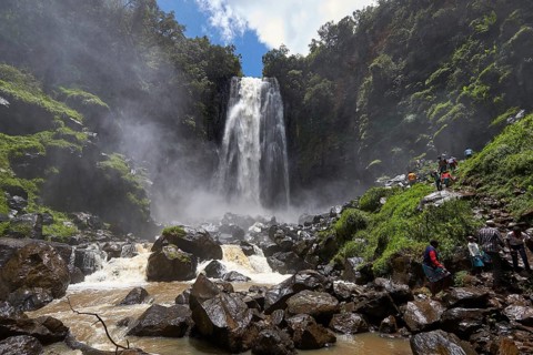 Thomson's Falls