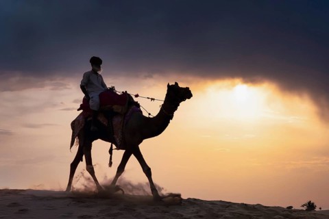 Elderly man riding on a camel in the Thar desert at sunset