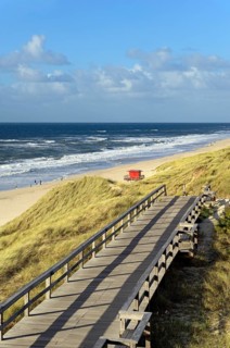 Boarded footpath leads through the dunes