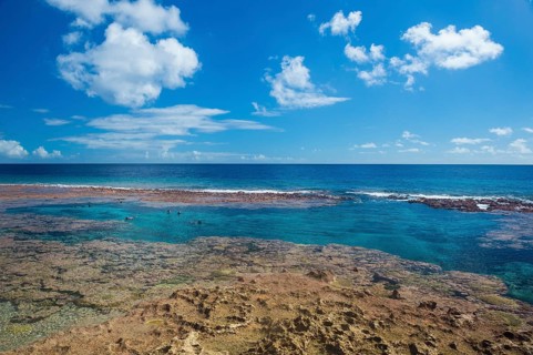 Tourists swimming in the Limu low tide pools
