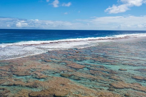 Low tide pools