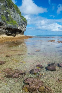 Avaiki rock tide pools