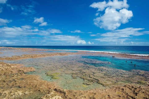 Tourists swimming in the amazing Limu low tide pools