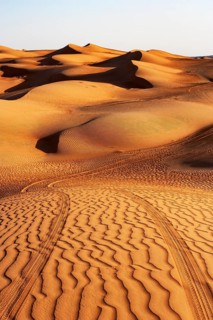 Lane in the sand