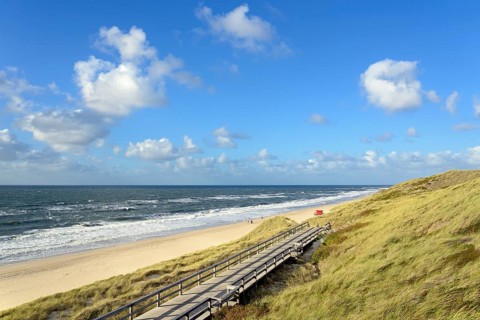 Boarded footpath leads through the dunes