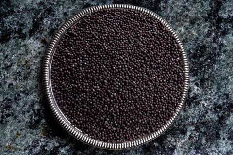 Black mustard seeds