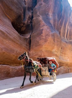 Tourists in a horse cart inside the Siq
