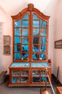 Collection of animals
