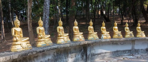 Row of Buddha statues at wat Ko Phayam temple