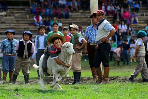 Child Rides on Sheep