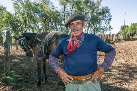 Gaucho