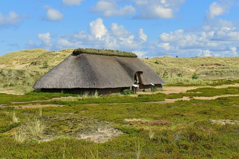 Reconstructed Iron Age House