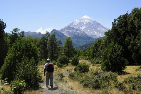Tourist hikes in front of Lanin Volcano