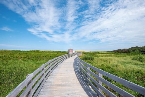 Wooden footbridge on dune trail