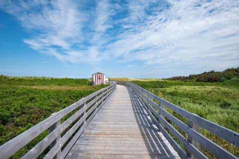 Wooden footbridge on dune trail