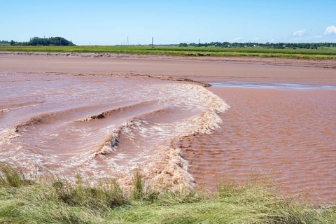 Tidal wave flows twice a day against the Petitcodiac River