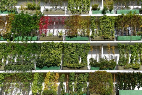Greened house facade