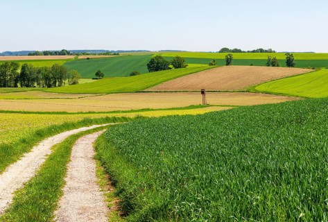Field path