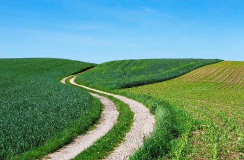 Curvy dirt road through agricultural landscape